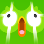 Duolingo: Corsi di Lingua